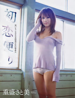 0398 - 245 x 320 [15KB]
�d�����Ɣ��̃����}��